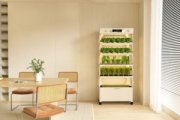 Transform Your Space with the BiNFOLD Smart Planter - Hydroponics System