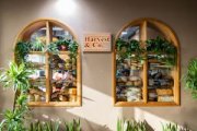 A Relaxing Escape: Harvest & Co. Café at Dubai Garden Centre