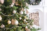 The Ultimate Christmas Tree Guide: How to Choose, Care for, and Enjoy a Nordmann Fir