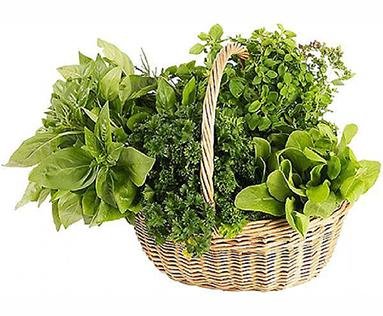 Herbs & Vegetables