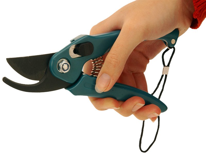 Pruning Shears for Plant and Gardening - Gardening Tools and Equipments
