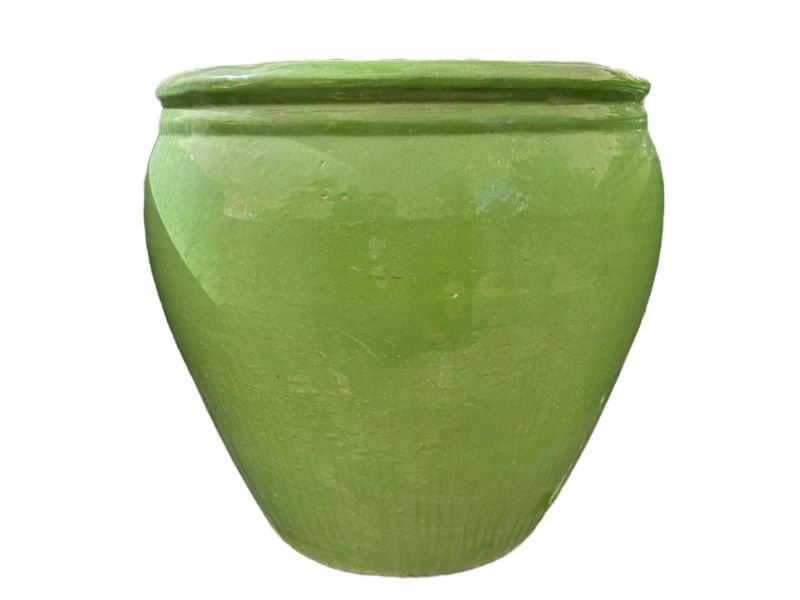 Large ceramic plant deals pots