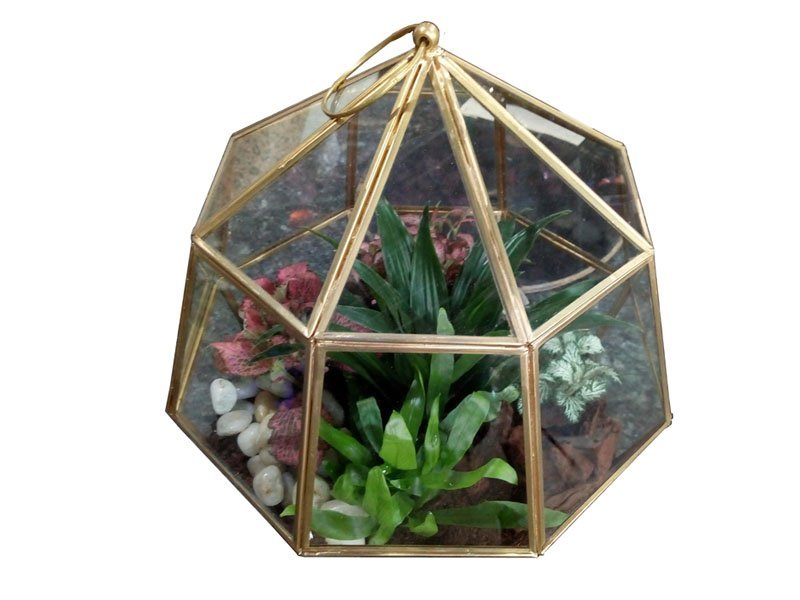 Terrarium