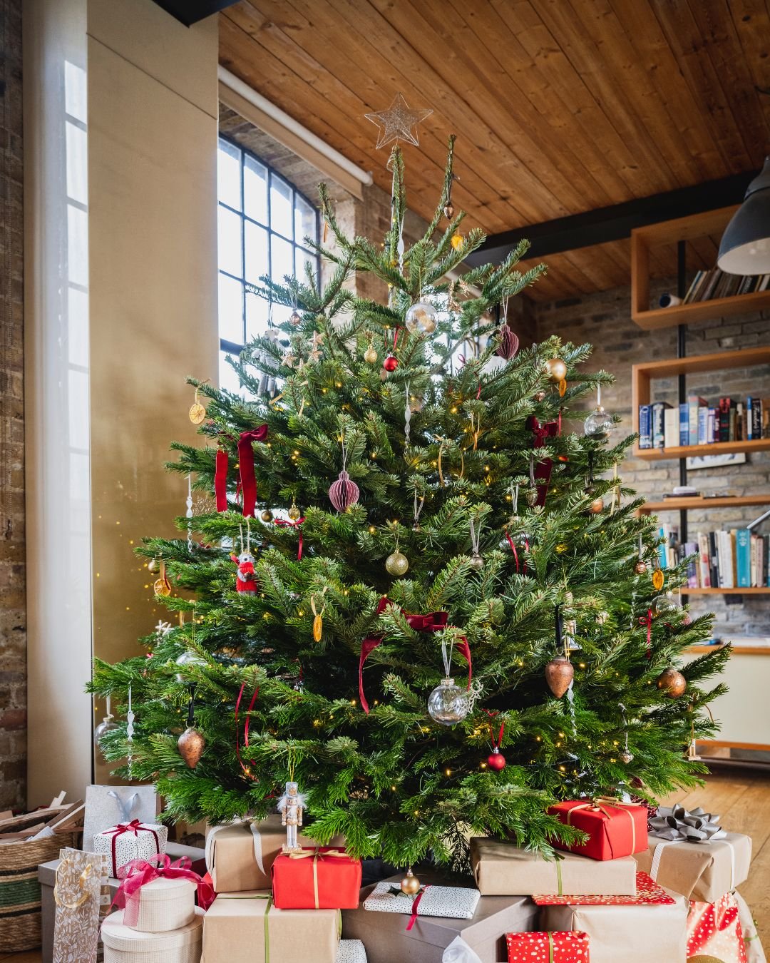 Nordmann Fir Tree Decorated